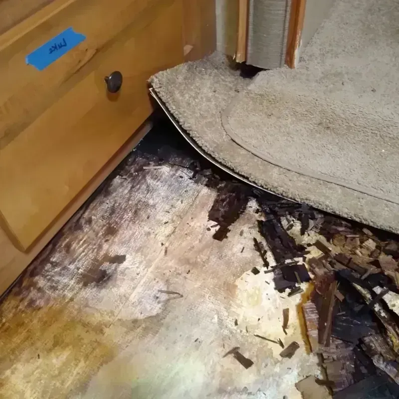 Wood Floor Water Damage in Ringwood, NJ